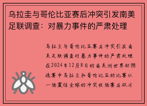 乌拉圭与哥伦比亚赛后冲突引发南美足联调查：对暴力事件的严肃处理