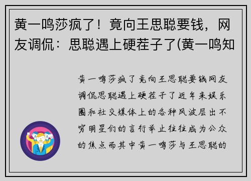 黄一鸣莎疯了！竟向王思聪要钱，网友调侃：思聪遇上硬茬子了(黄一鸣知乎)